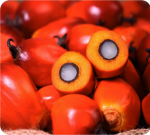 Palm Oil