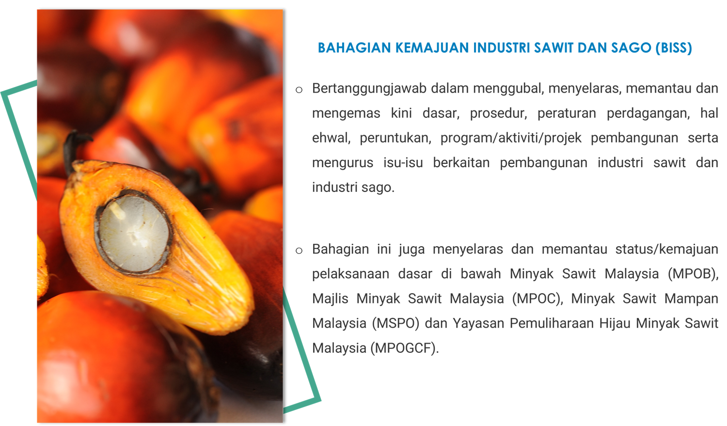 V2 DIS LATAR BELAKANG