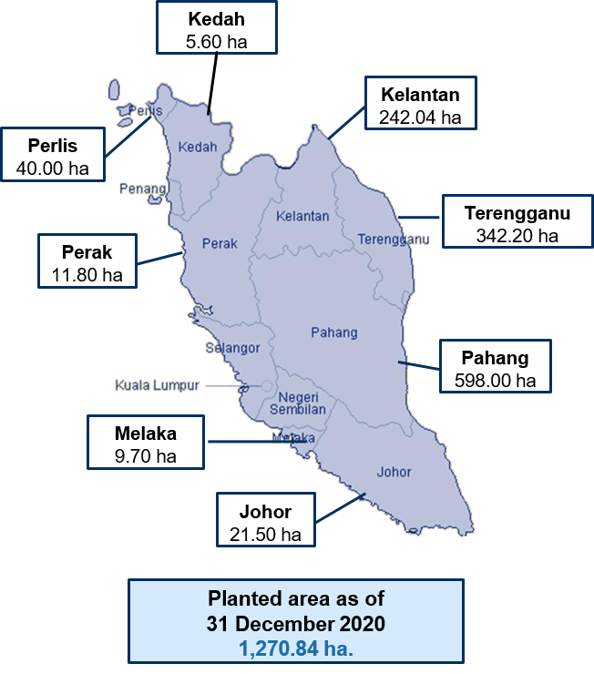 Map Planted Area