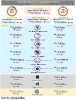 INFOGRAFIK