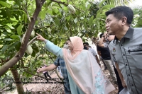03 JULAI 2022-LAWATAN KE LADANG KOKO TING AGRO ENTERPRISE_7