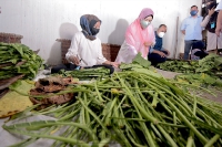 04 Oktober 2021_Kunjungan ke Kilang proses tembakau di Kampung Tok Ayah Aur,Bachok ,Kelantan_5