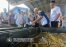 11 JUN 2023 - YBTM MENGADAKAN LAWATAN KE KENAF _9