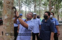 14 JULAI 2022 - LAWATAN KERJA KSU BERSAMA KPPA DI LEMBAGA GETAH MALAYSIA, KOTA TINGGI DAN BANDAR PENAWAR, JOHOR
