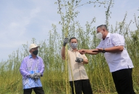 18 OKTOBER 2021 - Lawatan kerja YBTM ke kawasan tanaman kenaf di Pekan, Pahang dan Pusat Industri Kenaf (PIK), Tebu Hitam, Rompin, Pahang_3