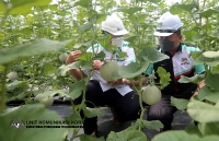 24 MEI 2022 - LAWATAN YBTM DATUK WILLIE ANAK MONGIN KE KILANG NEXTGREEN GLOBAL BERHAD DI PEKAN, PAHANG