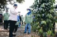 Lawatan  Kementerian Perusahaan Perladangan dan Komodit  YB Dato' Dr.Mohd Khairuddin bin Aman Razal ke premis Usahawan hiliran Lada dan Kebun di negeri johor_6