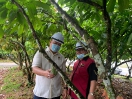 Lawatan Kerja YB Tuan Willie Mongin ke Pusat Penyelidikan dan Pembangunan Koko, Lembaga Koko Malaysia di Kota Samarahan, Kuching
