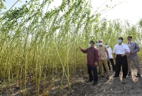 Majlis Penyampaian Bantuan Prihatin Kenaf Peringkat Negeri Pahang di Kampung Merchong, Pekan Pahang _10