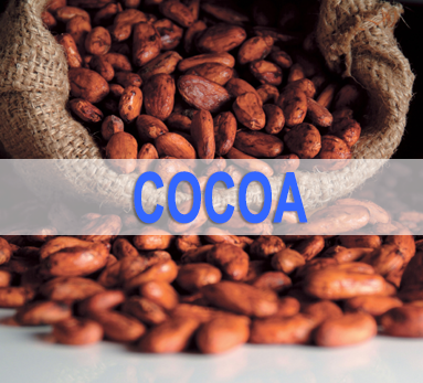 Cocoa News