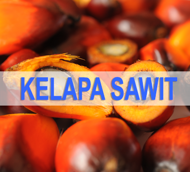 Berita Sawit