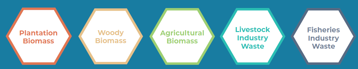 biomass sectors