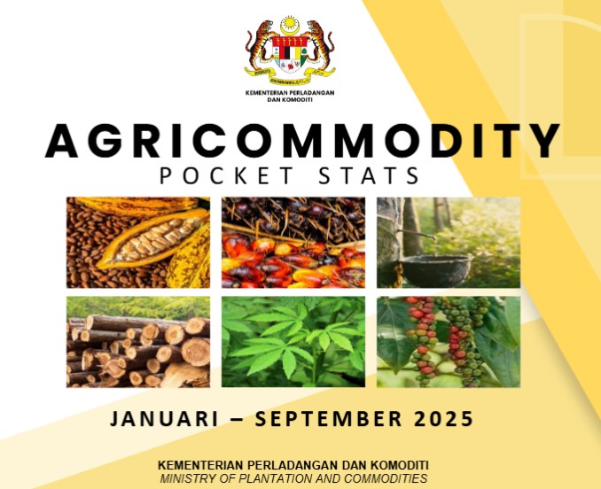 Cover Pocket Stats Q4 2024