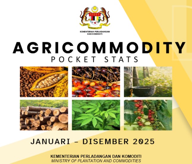 Cover Pocket Stats Q4 2024